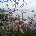 ���� ����, �������� ������ - ��������� 22 ���� 2010 � ������ ������� ����)�