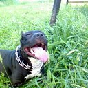 ���� �������, ����������, 38 ��� - ��������� 23 ������� 2011 � ������ ���� ����������