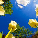 ���� Smile, ������, 55 ��� - ��������� 12 ������ 2010 � ������ ���� ����� � ������