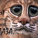 ���� ������, �������, 33 ���� - ��������� 11 ������ 2012 � ������ �...�