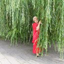 ���� �������, ������� - ��������� 18 ������ 2013 � ������ ���� ����������