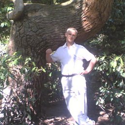 , 53, 