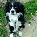 Poceluichik provozhaet grustnim vzgliadom:) �� ������� �otpusk 2012�