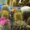 ���� ������, ������, 69 ��� - ��������� 5 ������ 2013 � ������ ���� ��������� ����������