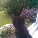 ���� Natalya, ��������, 56 ��� - ��������� 11 ������� 2011 � ������ ����� ����, ���� � &amp;�