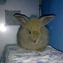 ���� ������, �����������, 36 ��� - ��������� 4 ������ 2010 � ������ ��������� ��� � ���� ������