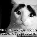 ���� ��������, ������ - ��������� 27 �������� 2010 � ������ ���������!!!�