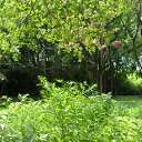   (), , 39  -  28  2010    2010