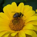 ���� ������, �����������, 65 ��� - ��������� 26 �������� 2011 � ������ �������� � �!�