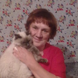 ���� �����, ���������, 63 ���� - ��������� 18 ������� 2012