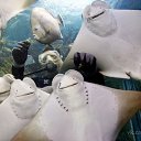 ���� ����� �, ����, 26 ��� - ��������� 15 ����� 2012 � ������ ���� ����������