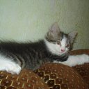 ��� ����� ������� ��� � ��� ��������� �� ������� ���� �����