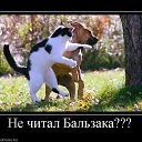  Nataly, , 52  -  18  2010   Funny Cats