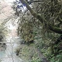 ���� �������, ����, 52 ���� - ��������� 25 ������� 2011