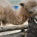  , , 69  -  18  2010   -