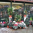 ���� Lana, �����-���������, 47 ��� - ��������� 15 ������� 2010 � ������ ���������