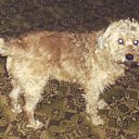 ���� ����, ����������� - ��������� 13 ������ 2010 � ������ ��������