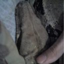  -, -, 52  -  5  2011    