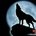       http://vkontakte.ru/app1713637