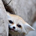 �� �� �����.�������� ������...
 �� ������� ���� ����������