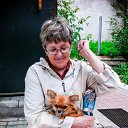 ���� ���������, ���������, 73 ���� - ��������� 26 ������� 2012