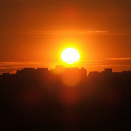 ����, ������, 51 ���