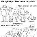 ���� �������, �����, 40 ��� - ��������� 1 ���� 2010