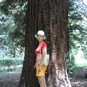   (), , 39  -  28  2010    2010