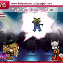 ���� �������!, �����������, 26 ��� - ��������� 21 ������ 2010 � ������ �PetLove�