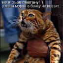 ���� ������, �������, 40 ��� - ��������� 13 ������� 2009 � ������ ����������� ��������, ������� ����������