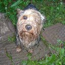 ���� �������, ������, 52 ���� - ��������� 9 ������ 2011 � ������ �PetLove�