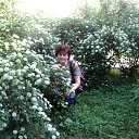 ���� �������, ���������, 52 ���� - ��������� 30 ����� 2012 � ������ ���� ����������