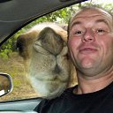 ���� ����, �����������, 38 ��� - ��������� 6 ���� 2010 � ������ �����������