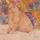 ���� N@tasha, ����������� - ��������� 19 ����� 2010 � ������ ������� ������� � ����