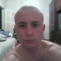 ���� ������, �������, 43 ���� - ��������� 23 ���� 2013