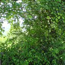 ���� ������, ����, 47 ��� - ��������� 21 ���� 2010