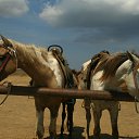   , , 53  -  3  2012   ktnj 2012