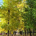 ���� �����, ������������, 38 ��� - ��������� 15 ������ 2011 � ������ ���� ����������