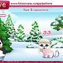���� �������, �����-���������, 42 ���� - ��������� 8 ������� 2010 � ������ �PetLove�