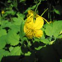 ���� ������, ������ - ��������� 25 ��� 2012 � ������ ���� ����������