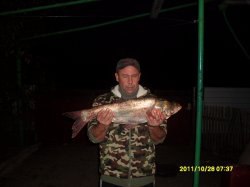 ������, ������-��-����, 54 ����