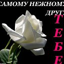 ���� �����, ������, 45 ��� - ��������� 31 ��� 2010 � ������ ����������� �����