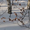 ���� ������, ��������� - ��������� 26 ������� 2011 � ������ �����