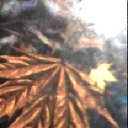 ���� ��������, ������� - ��������� 1 ������ 2012 � ������ ������� �������