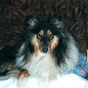 ���� ��, ��������, 59 ��� - ��������� 28 ������ 2009 � ������ ���� ���������