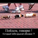  , , 50  -  24  2011   ))))))