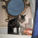 ���� �����, �������� - ��������� 22 ��� 2012 � ������ ���� ����������