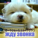 Alexandr, , 52  -  22  2010   
