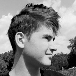   ****, , 32  -  8  2013