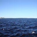  Serzh Van Der Maaremaan,  -  1  2009    ϻ